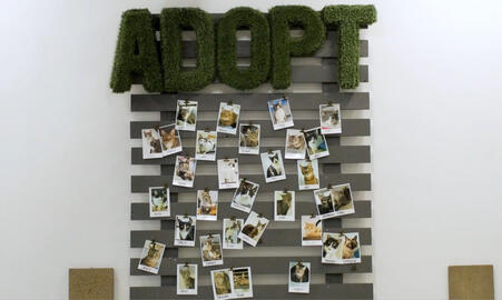 Cat Café Lounge Promo 2